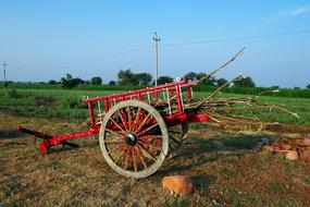 red cart at the farm in Ilkal, Karnataka, India