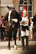 Soldier with horse on street