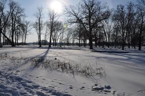 Winter White Poland