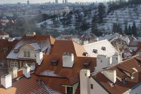 panoramic view of brown roofs with chimneys in winter