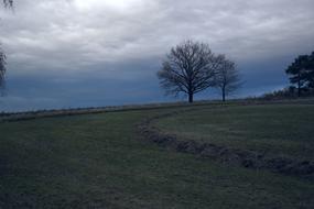 landscape of countryside Tree at Storm