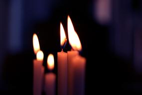 Close-up of the beautiful, blossoming candles, at blurred background