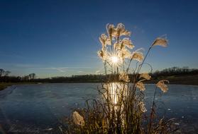 Sun Water Bank