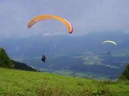 Paraglider Carinthia over Meadow
