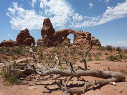 Arches National Park Arch