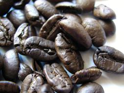 roasted flavorful grains