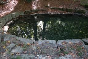 Beautiful source with reflections of the trees, among the stones and colorful plants in Laupheim, Germany