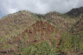 Timor-Leste East Hills