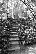 black and white, old stone stairs in the park