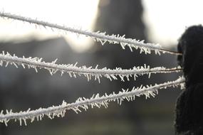 Icing Winter Wire