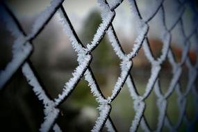 Fence Frost Iron