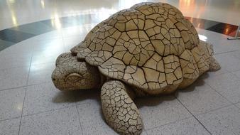 Turtle Las Vegas Airport