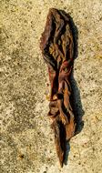 Tree Bark Carving Wood