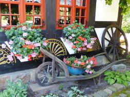 Geranium Flowers Cart