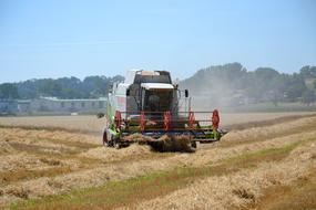 Combine Harvester Harvest Cereals