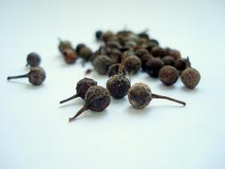 Cubeb Kebabiye Tailed