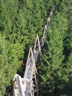 Treetop Walk Kopfing Innviertel