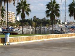 Fishing Boats harbor