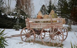 Carriage Rides Trees