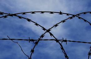 Barbed Wire Razor