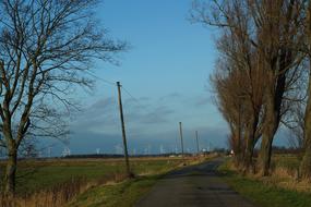 Winpark Away Trees