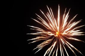 Fireworks Shape Flower black background