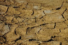 Vertocknete Earth Cracks Desert