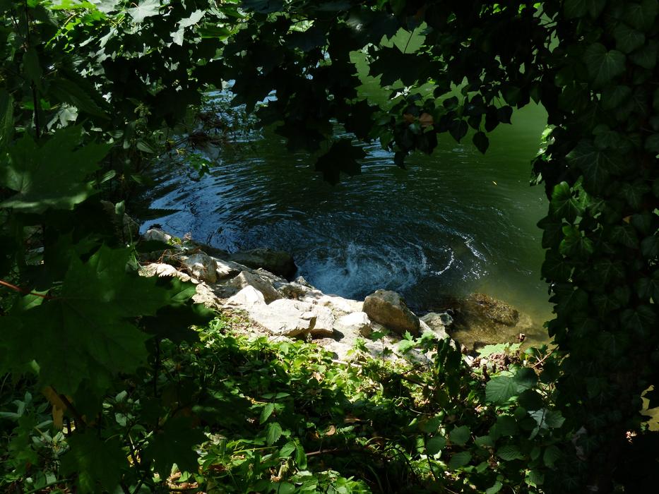Water Source Bubble landscape