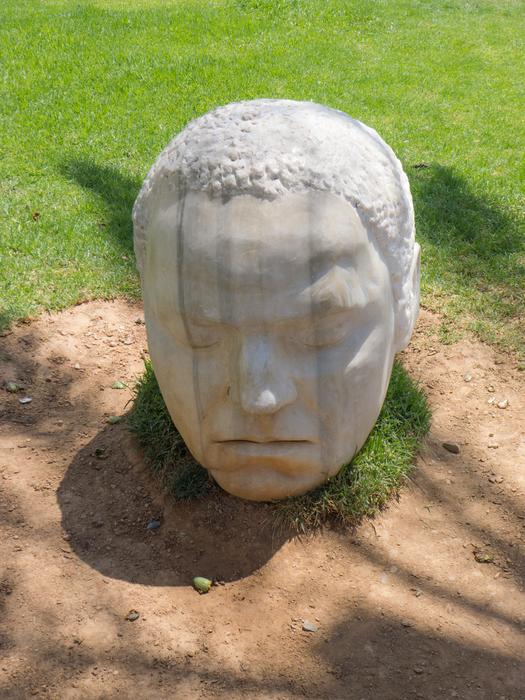 stone head of a sleeping man in the garden