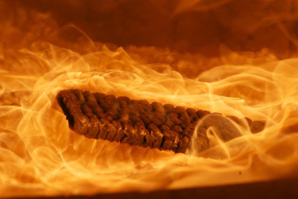 wood fire as magic