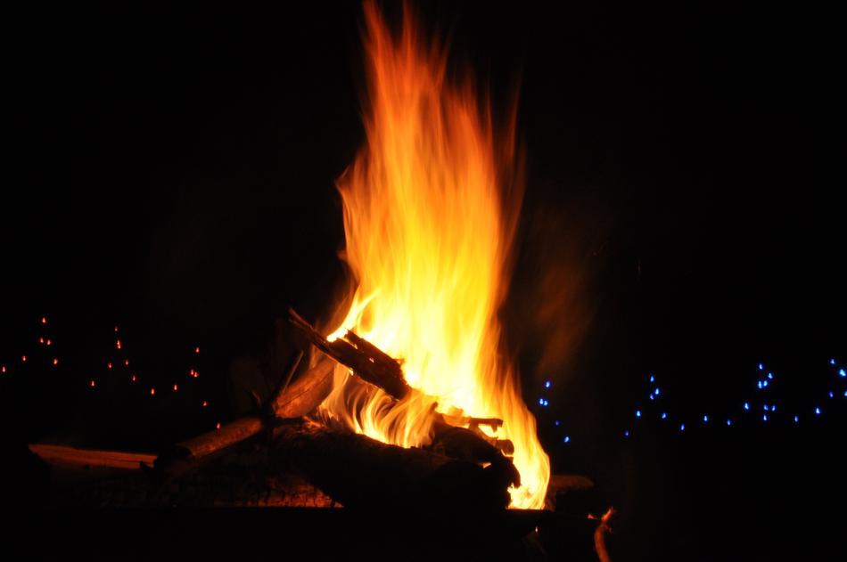 flame, firewood on the background of the night sky