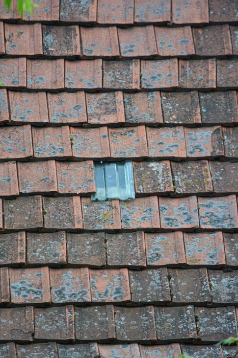 old Tile Rooftop