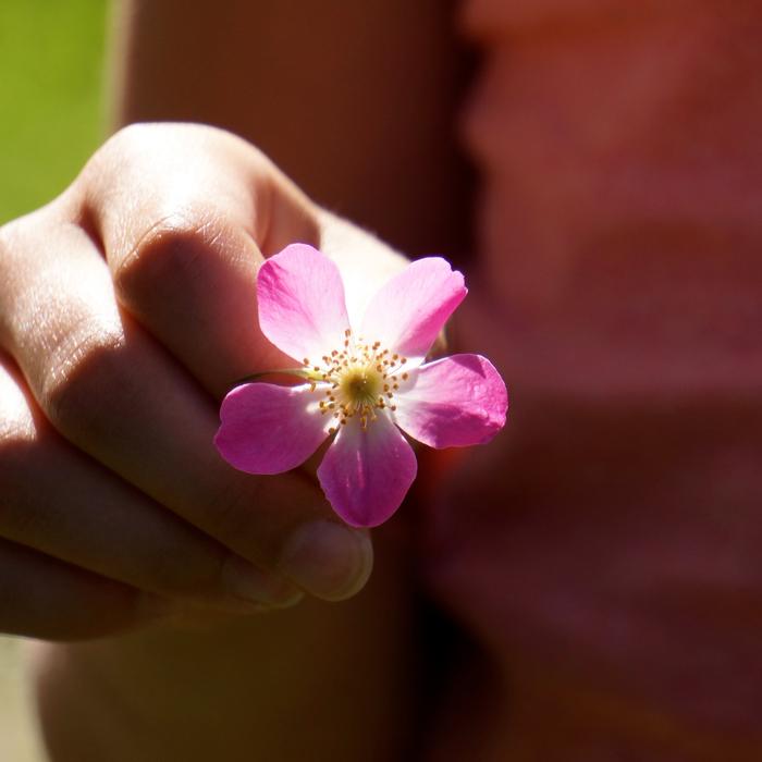 A Flower For You Show