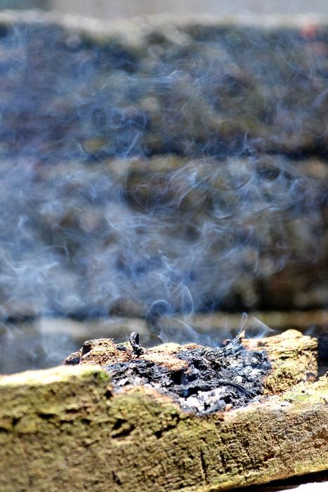 smoke, burning log