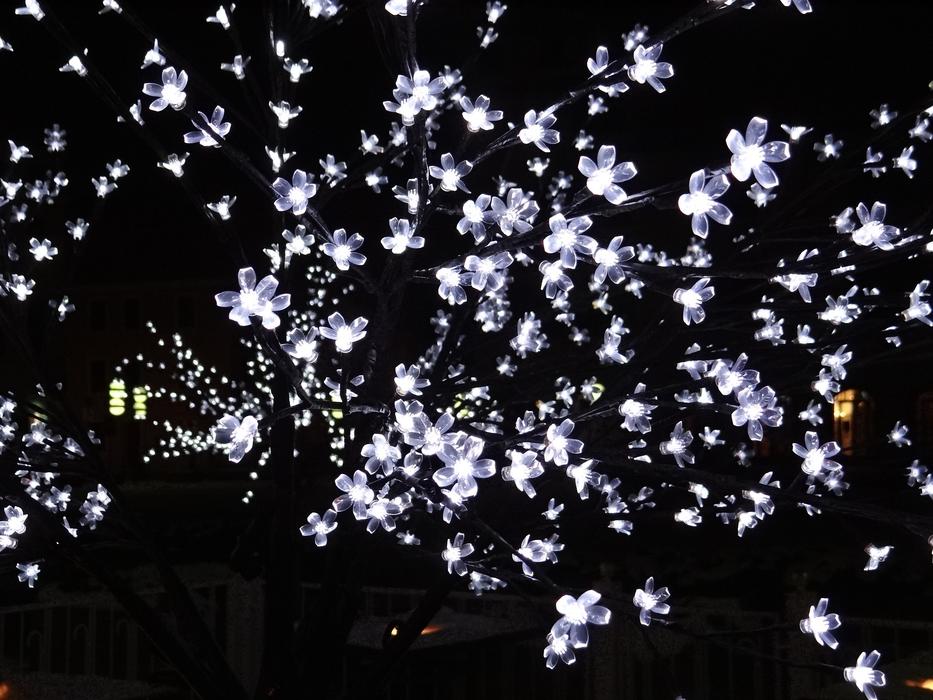 Exterior Decoration Lighted dark