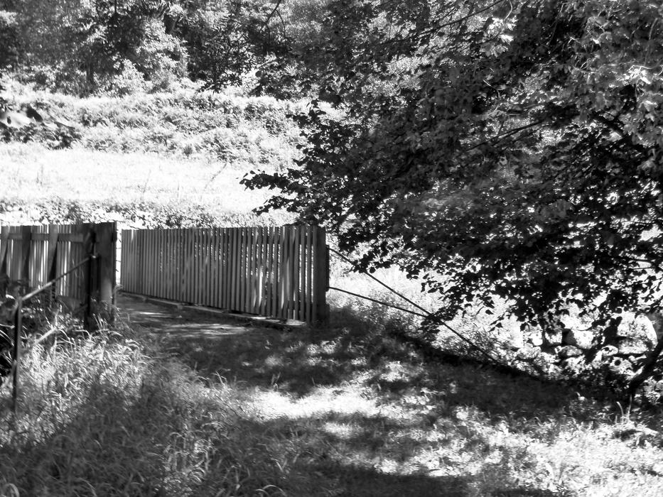 black and white, wooden bridge in the steppe