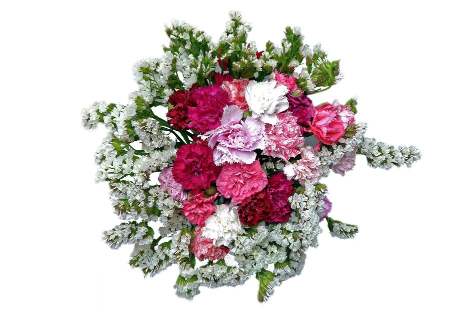 bouquet of flowers in green plants