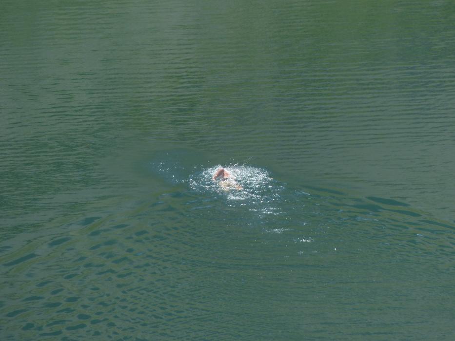 Swimmer Crawl lake