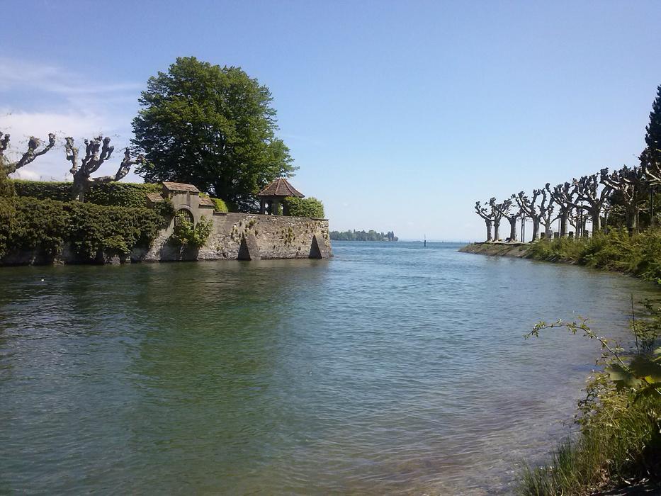 Beautiful landscape of the Lake Constance, among the plants