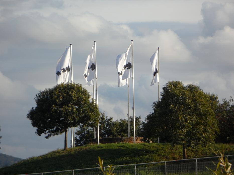 flags on the hill at the zoo in San Francisco