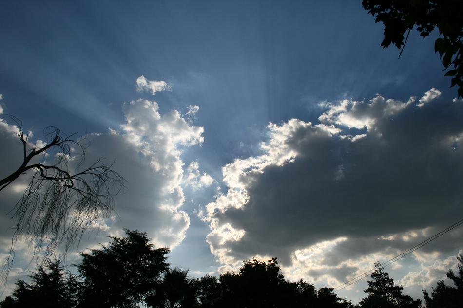 gray clouds over tree silhouettes