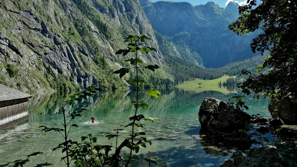Beautiful and colorful landscape with KÃ¶nigssee, among the plants and mountains in Berchtesgaden, Germany