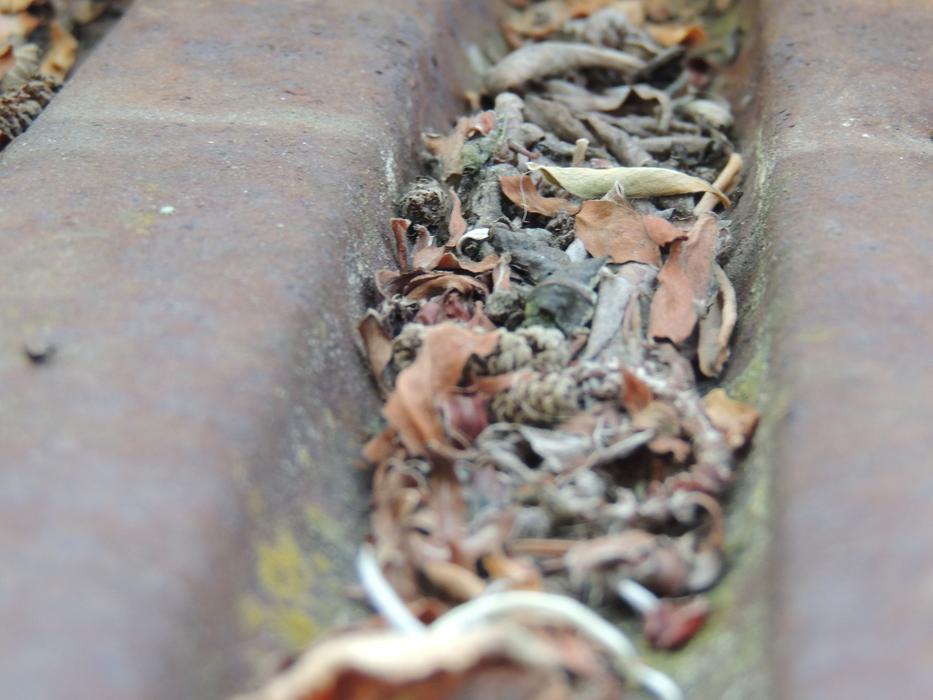 Roof Dirt Leaves