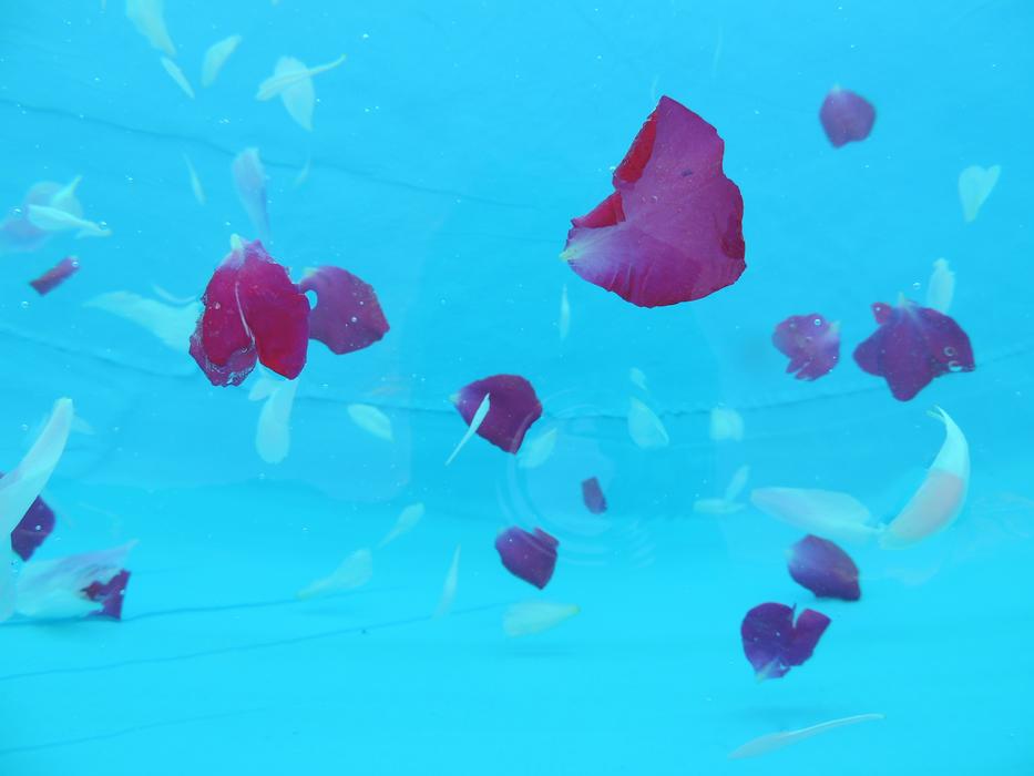 Abstract Tickets in Water