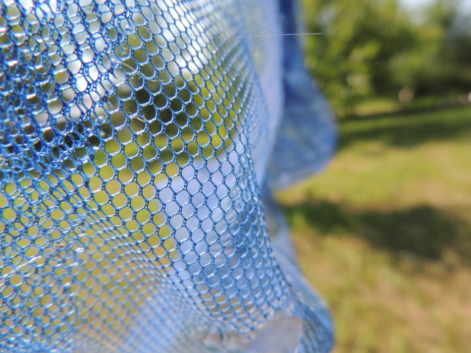 Close-up of the blue network on the meadow, among the colorful and beautiful plants