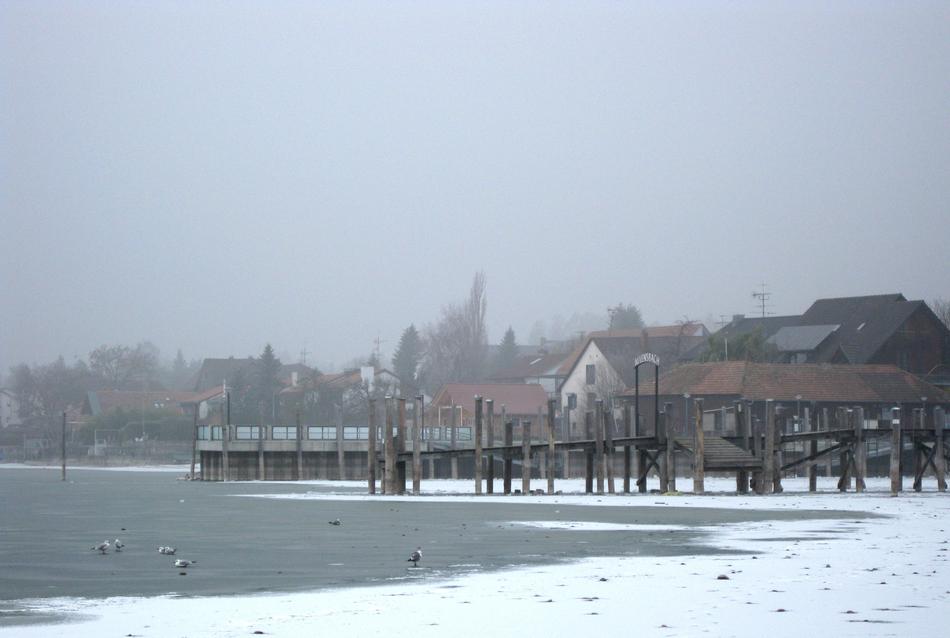 Allensbach Frozen Lake Constance