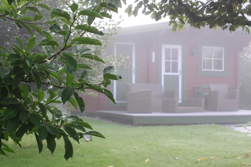 fog in the garden near the house