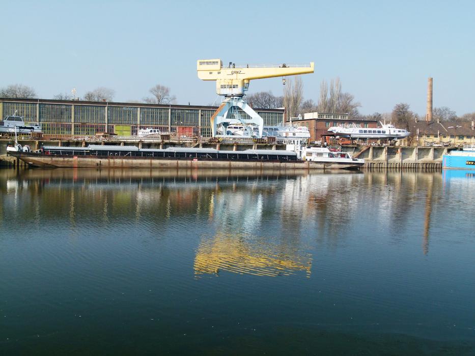 Crane in Danube