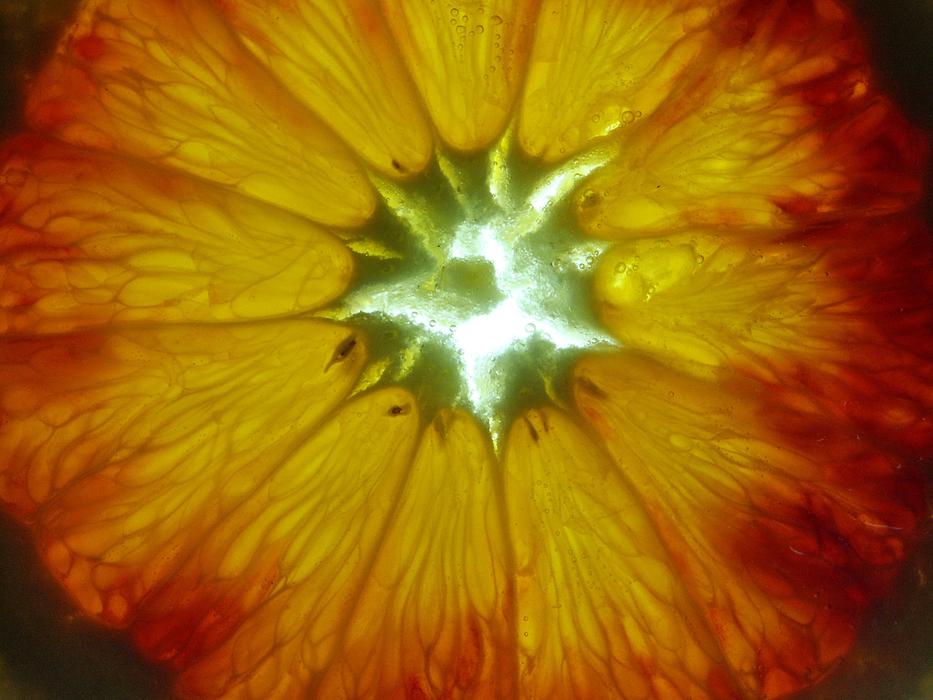 orange slice in mineral water