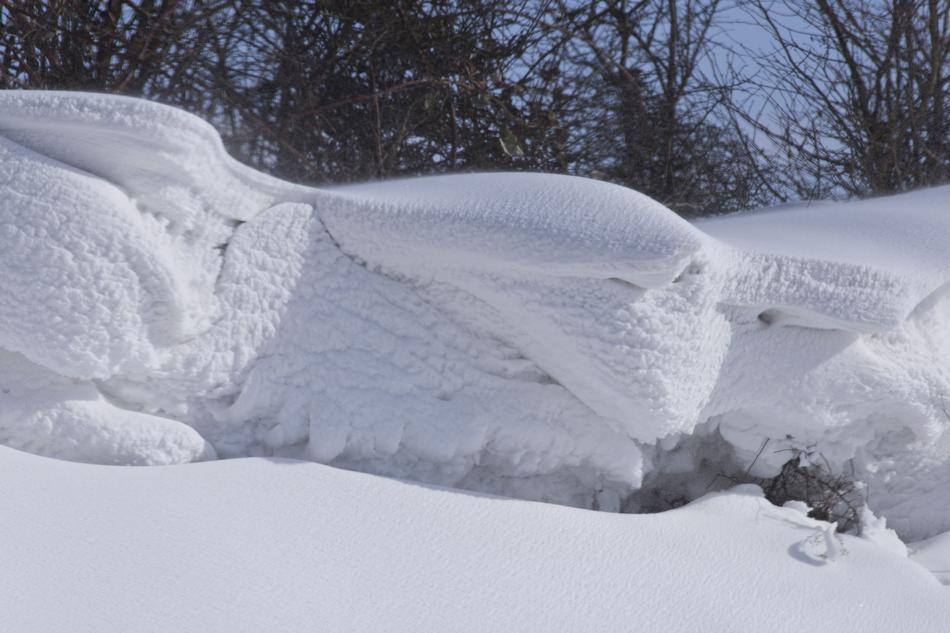 Winter Snow